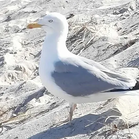 Uhlenweg 6 Eg Scheidemann Gm 69821
