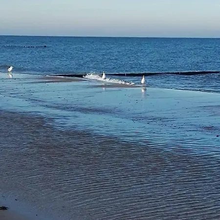 公寓 Uhlenweg 6 Eg Scheidemann Gm 69821