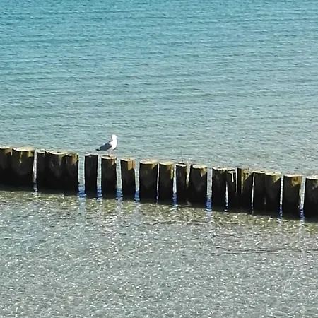 公寓 Uhlenweg 6 Eg Scheidemann Gm 69821 Muritz